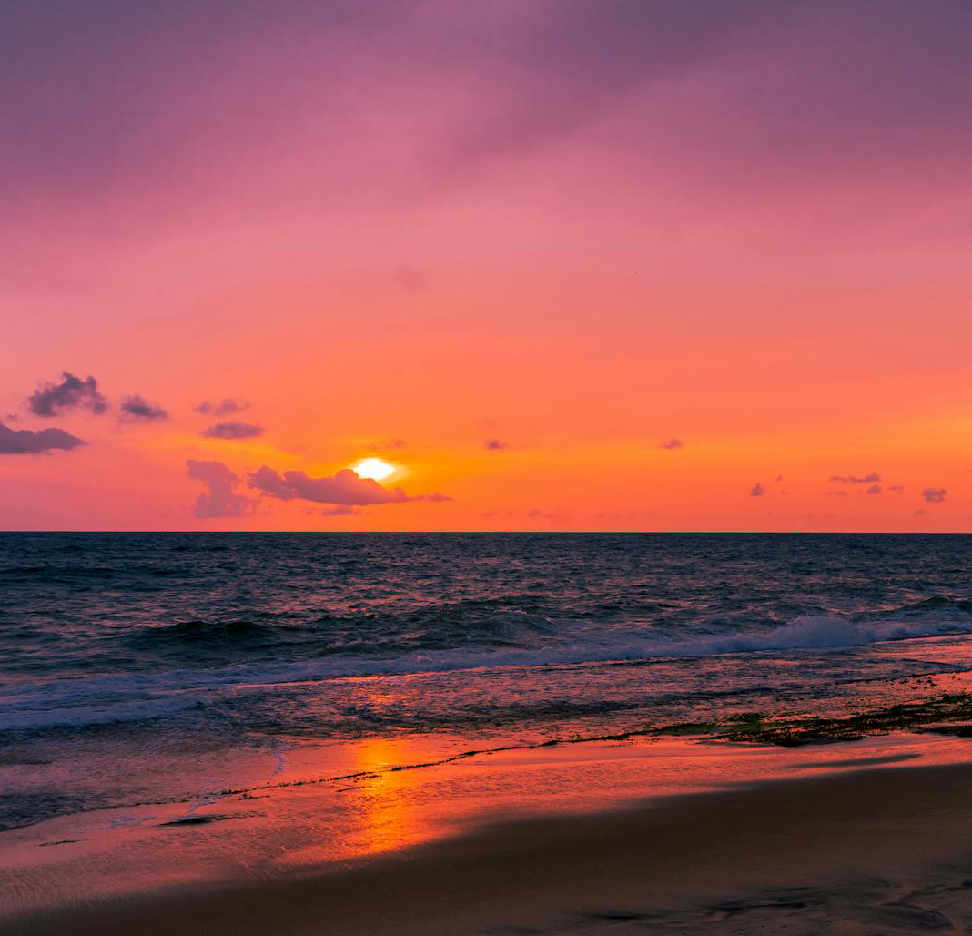 Negombo Delights: Churches, Forts & Gardens